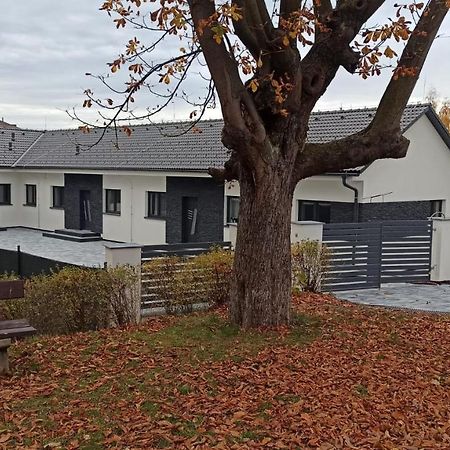 Apartmany Volavka 1 Planá nad Lužnicí Bagian luar foto