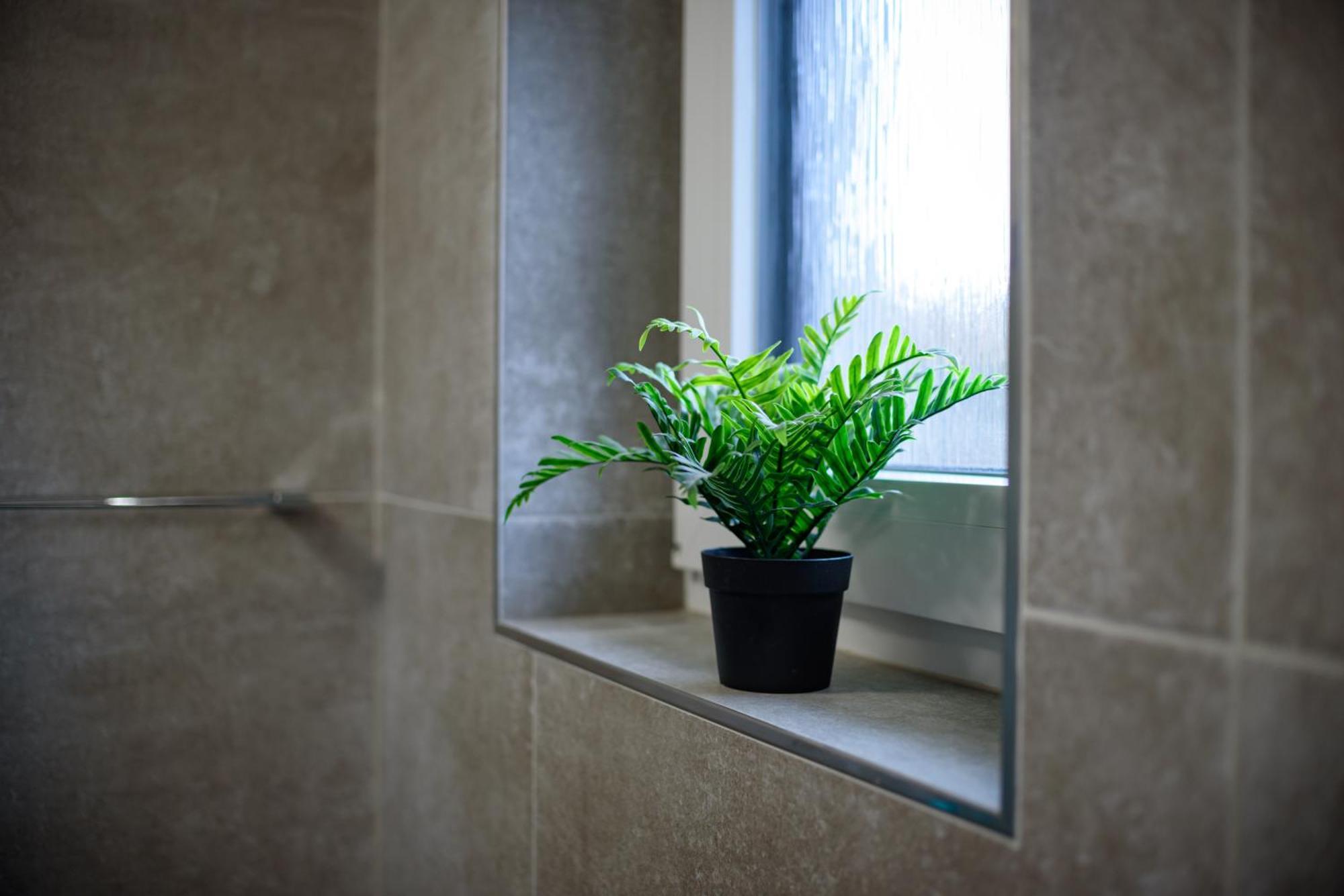 Apartmany Volavka 1 Planá nad Lužnicí Bagian luar foto